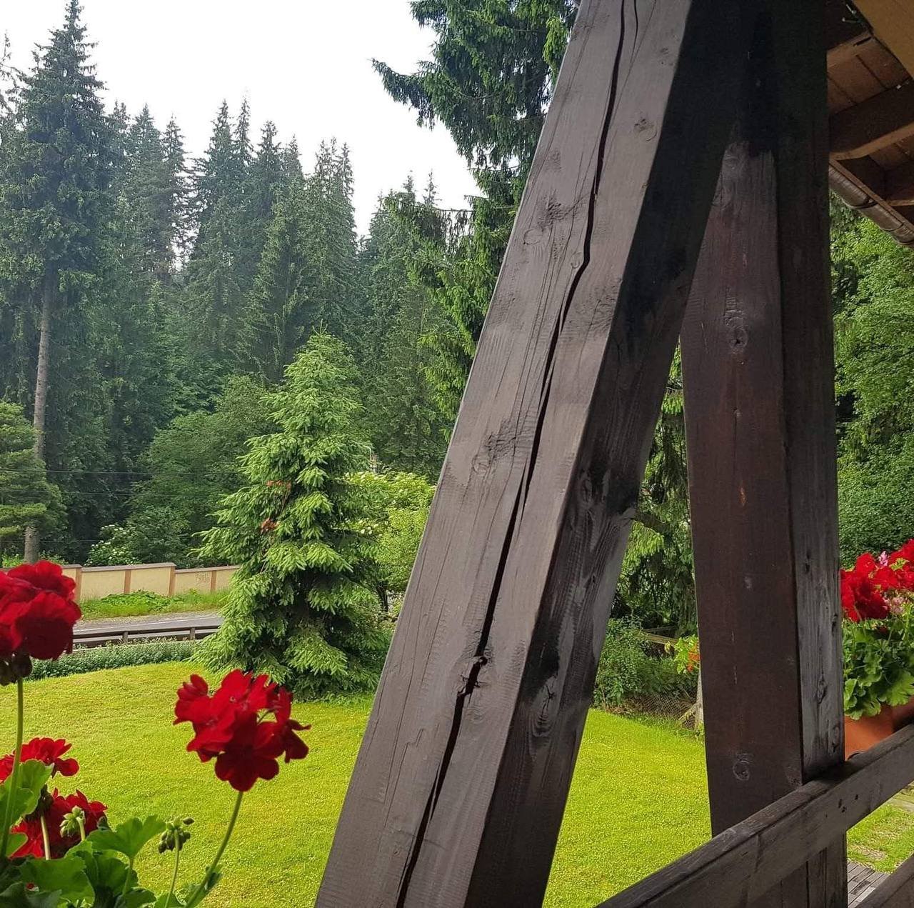 Villa surroundings — balcony view with geraniums